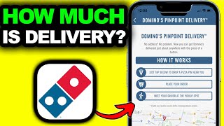 How Much Does It Cost To Get A Dominos Pizza Delivered - See For Yourself!