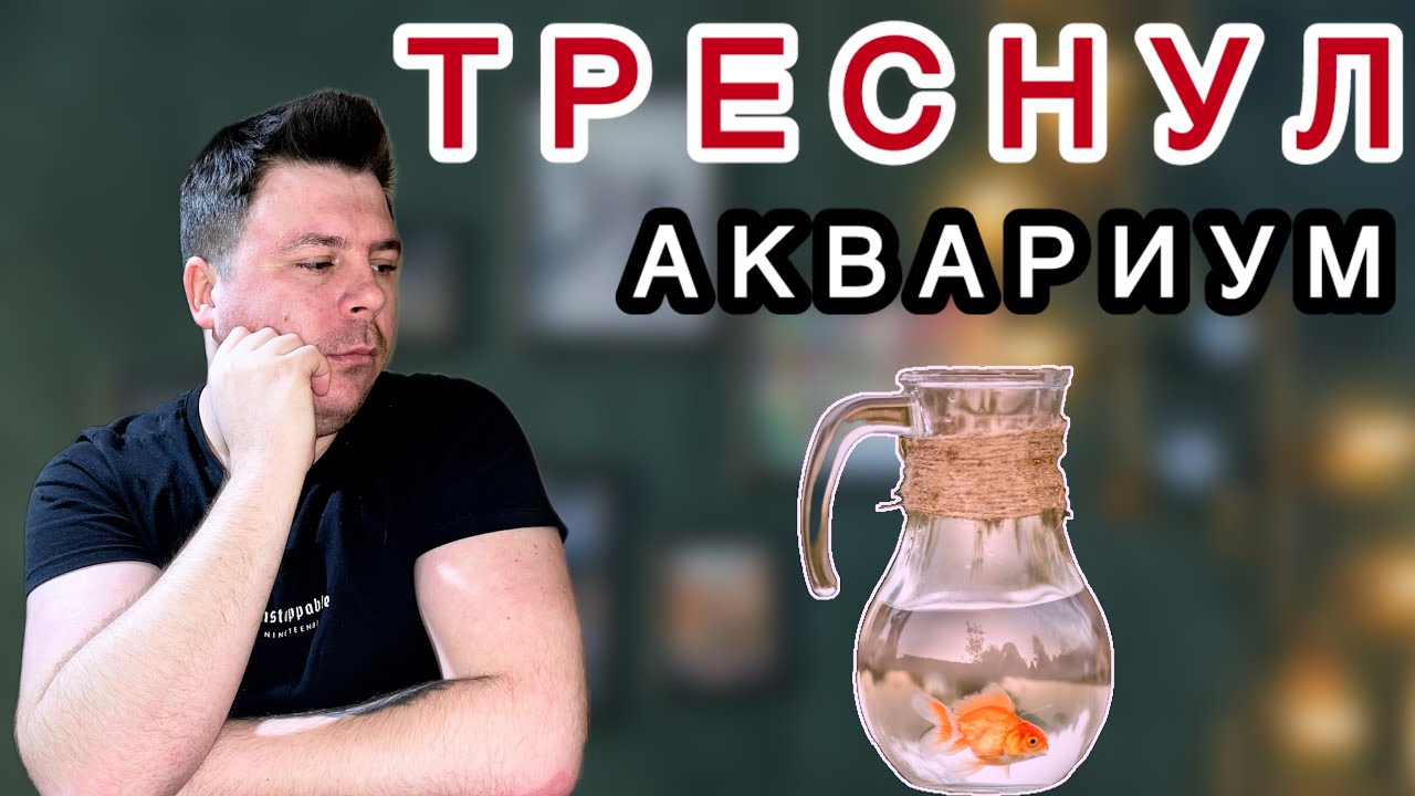 СПАСАЕМ РЫБ и покупаем НОВЫЙ АКВАРИУМ! 