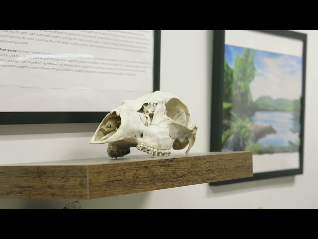 Lake Hitchcock Exhibit - Richard D. Little Geology Collection