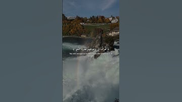 تلاوة خاشعة تريح القلب - سورة المطففين 22-26 🎧