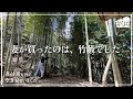 【空き家再生】#04 空き家についてきた竹藪を開拓して、タケノコが採りたいんです
