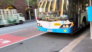 Sydney bus arrive at Martin Place Station Elizabeth street stand f abbotsford 438x