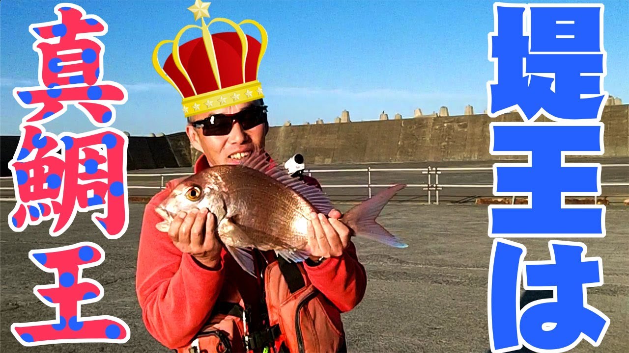 離島の堤防でカゴ釣り【良型マダイ】