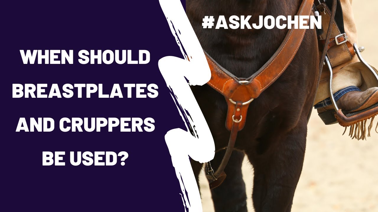 Breastplates & Cruppers | #ASKJochen | Livestream Q&A Excerpt - YouTube