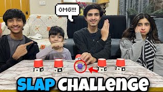 गेंद ढूंढो वरना थप्पड़ खाने की चुनौती का सामना करो | लाइफ विद अहतिशम screenshot 4