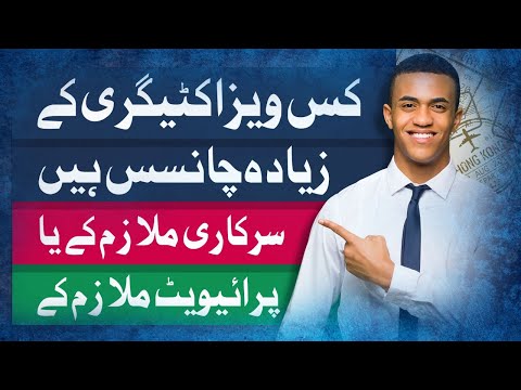 How to Apply  Visa for Private or Government Job Holders  || Canada Visa || USA Schengen UK || NILE