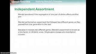 11.2 Applying Mendel's Principles
