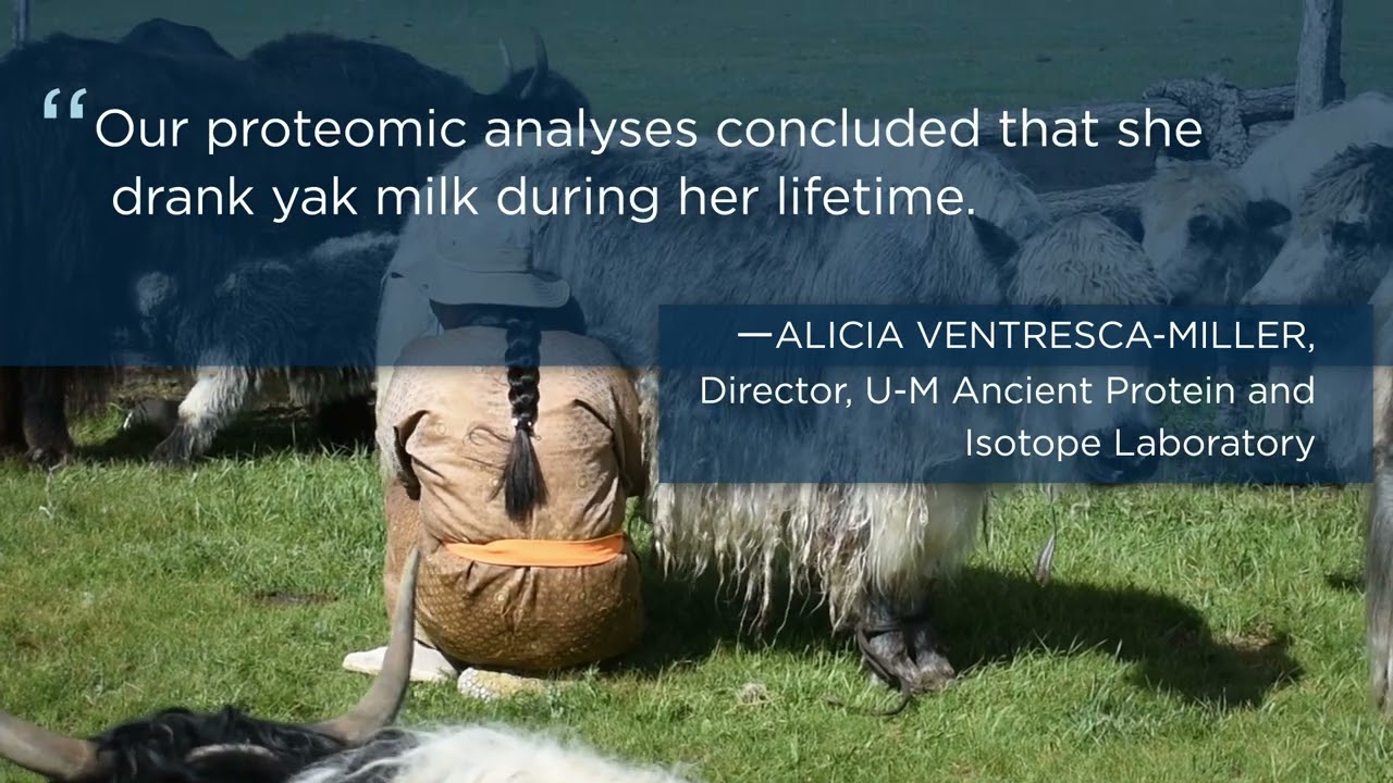 Yak milk consumption among Mongol Empire elites