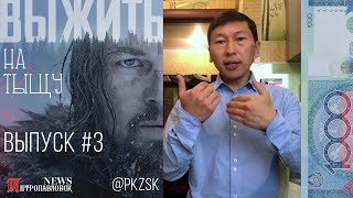 Веганы в Петропавловске Веганы в Петропавловске