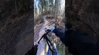 Insane Stabilization🤯 #Gopro  #Mtb #Mtblife #Dirtjumper #Dmitry_Krilovs #Mountainbike #Bikepark *