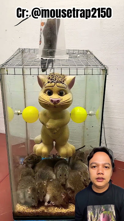 JEBAKAN TIKUS LUCU⁉️ Cr: ​⁠@mousetrap2150