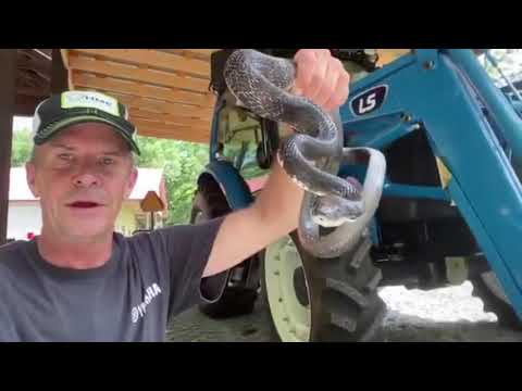 POV: Ward Burton tames a snake in front of you