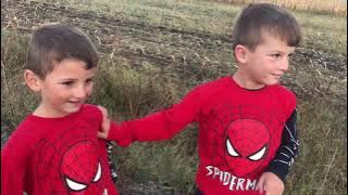 Mi Ka rre cirilangat dikush (nazif demiri)