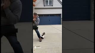 The man was attacked by skunk on the driveway. #animals #shorts