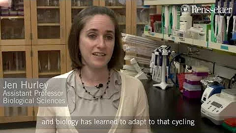 Jennifer Hurley Discusses Circadian Rhythm Research