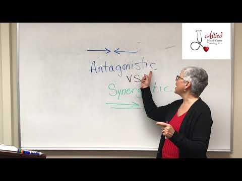 ቪዲዮ: Synergetics እንደ ሳይንሳዊ ንድፍ