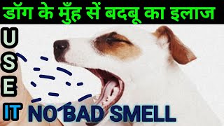 dog ke muh se badbu aana कुत्ते के मुँह सें बदबू का इलाज bad smell from dog mouth dog  smell bad