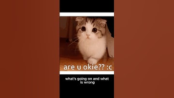 Trace Graphs Expose the Bottleneck 🚨