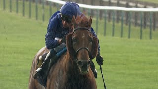 Back to his best! Hurricane Lane romps to Jockey Club success at Newmarket!