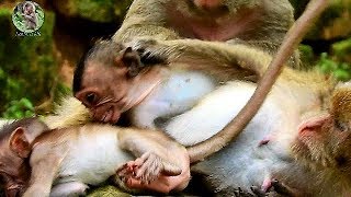 Mom Amari so Bad hit her baby Like this | Pity Baby Lori hungry milk much |