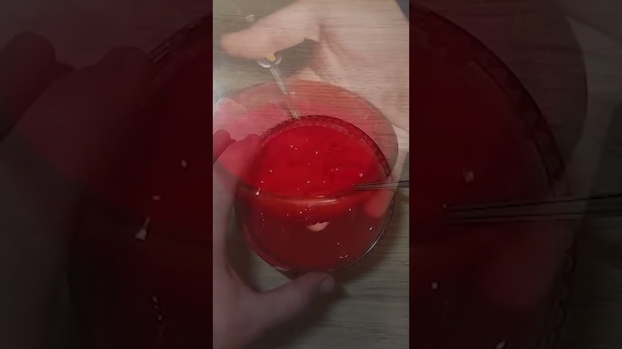 Трофейная плотва не пропустит,  насадка для рыбалки ☣ 