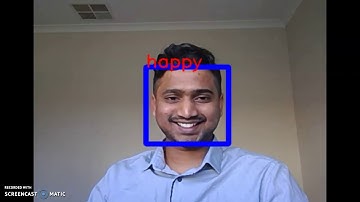 Video Sentiment Analysis