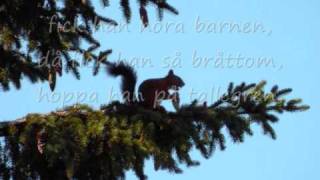 Video thumbnail of "Ekorrn satt i granen (med text)"