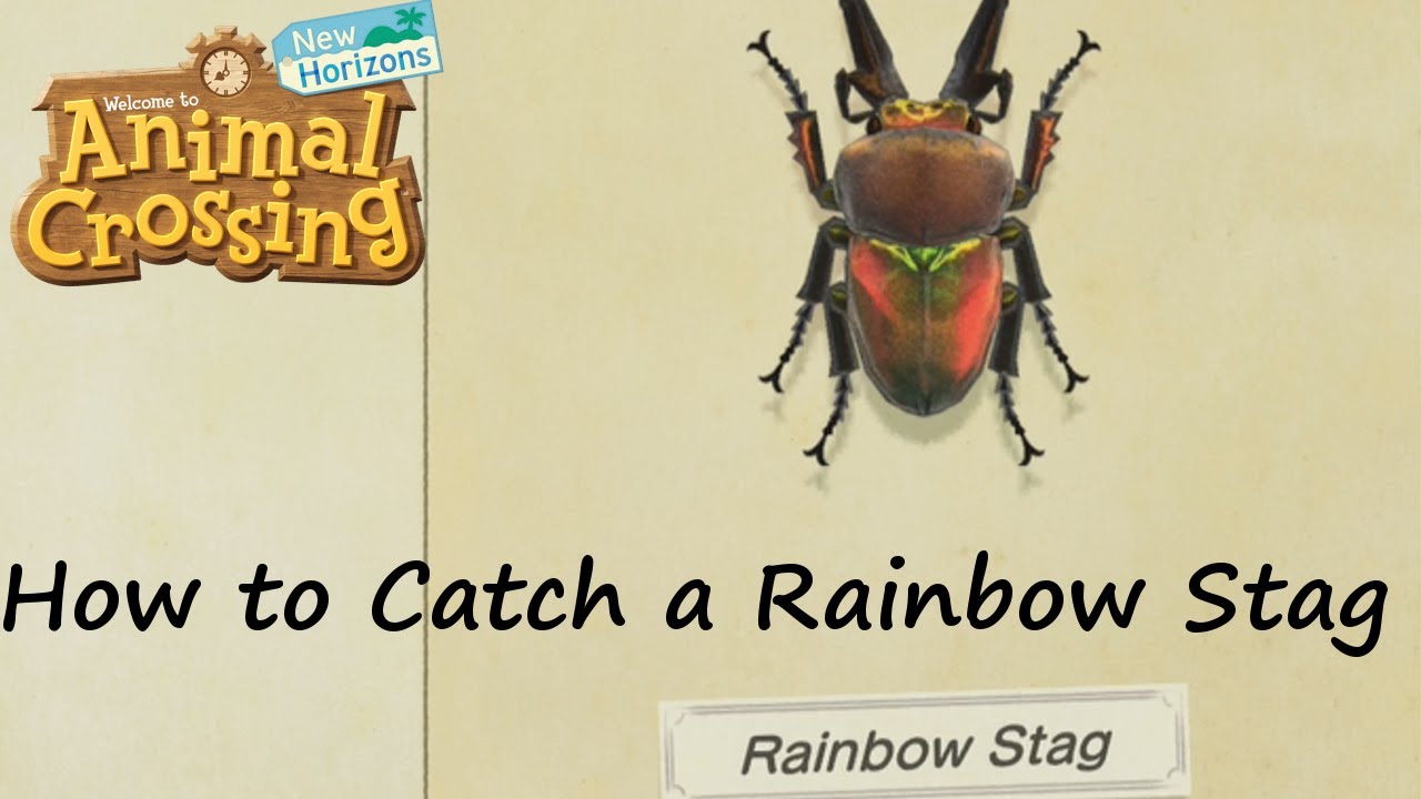 Animal Crossing: New Horizons - How to Catch a Rainbow Stag