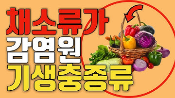 ?채소류를 먹으면 감염 되는 기생충의 종류!  - 오늘도 건강!