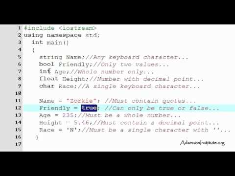 C++ (14) Tutorial Adamson Institute (org)