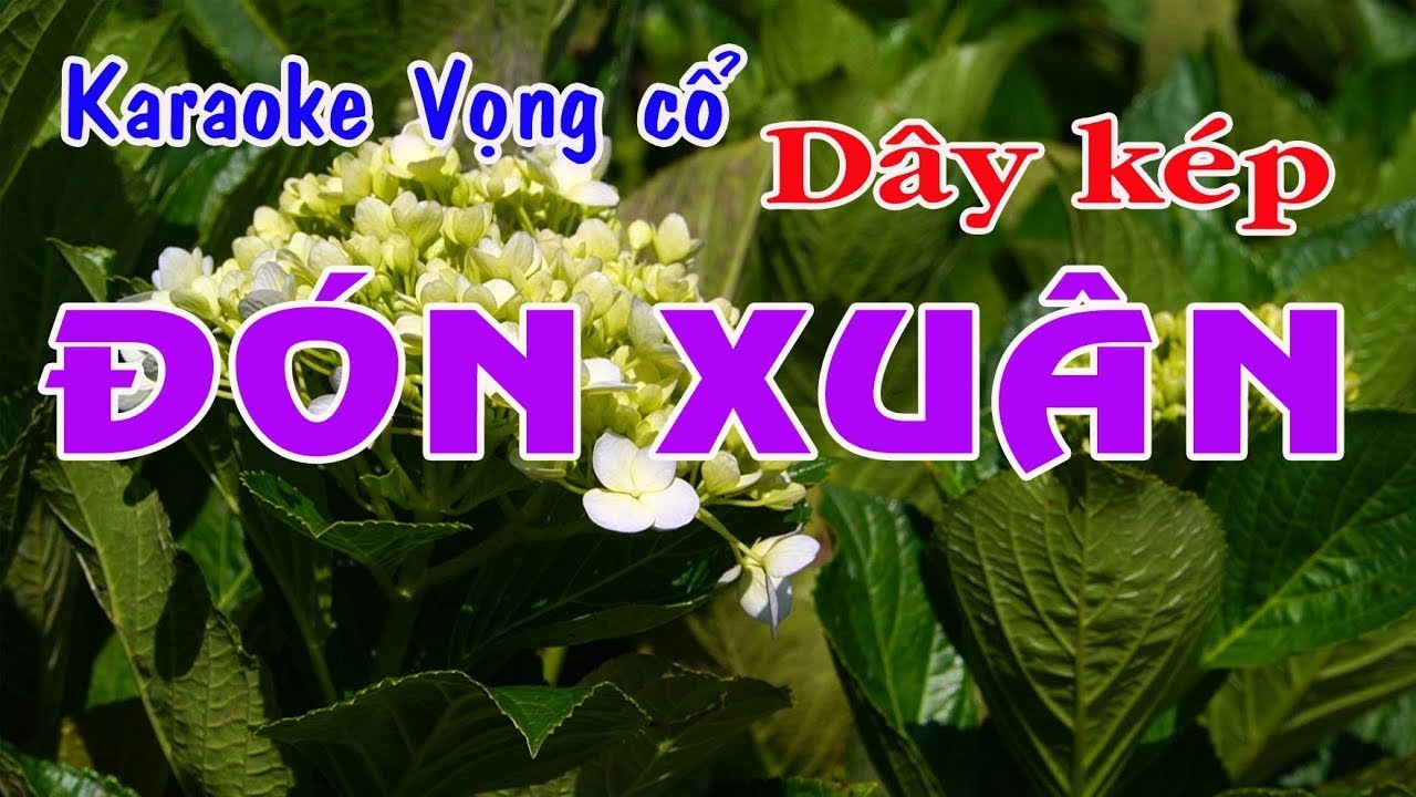 Karaoke vọng cổ ĐÓN XUÂN - DÂY KÉP [Tác giả Bs Nguyễn Thanh Điền]
