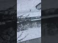 Look at all the snow
