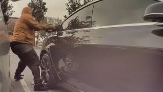 Thief caught on Tesla camera! (video 2 of 2)