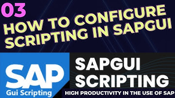 03 Tutorial How to configure Scripting in Sap Gui SAP Server RZ11 - Sap Gui Scripting