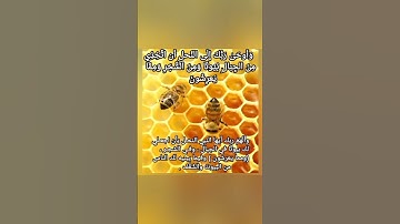 سورة النحل القاريء مرزوق الأحمد