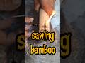 sawing wood on bamboo #firemaking  #primitivefire #bushcraft #survival