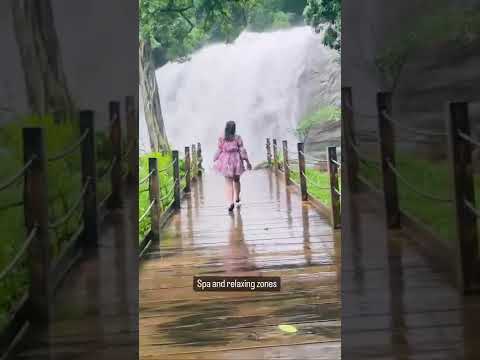 Ayatana, Coorg | Places to visit in Coorg | Private Waterfall