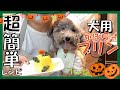 【超簡単】犬用かぼちゃプリン簡単レシピ