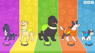 Meet the Dog Squad! 🐾 Songs | CBeebies