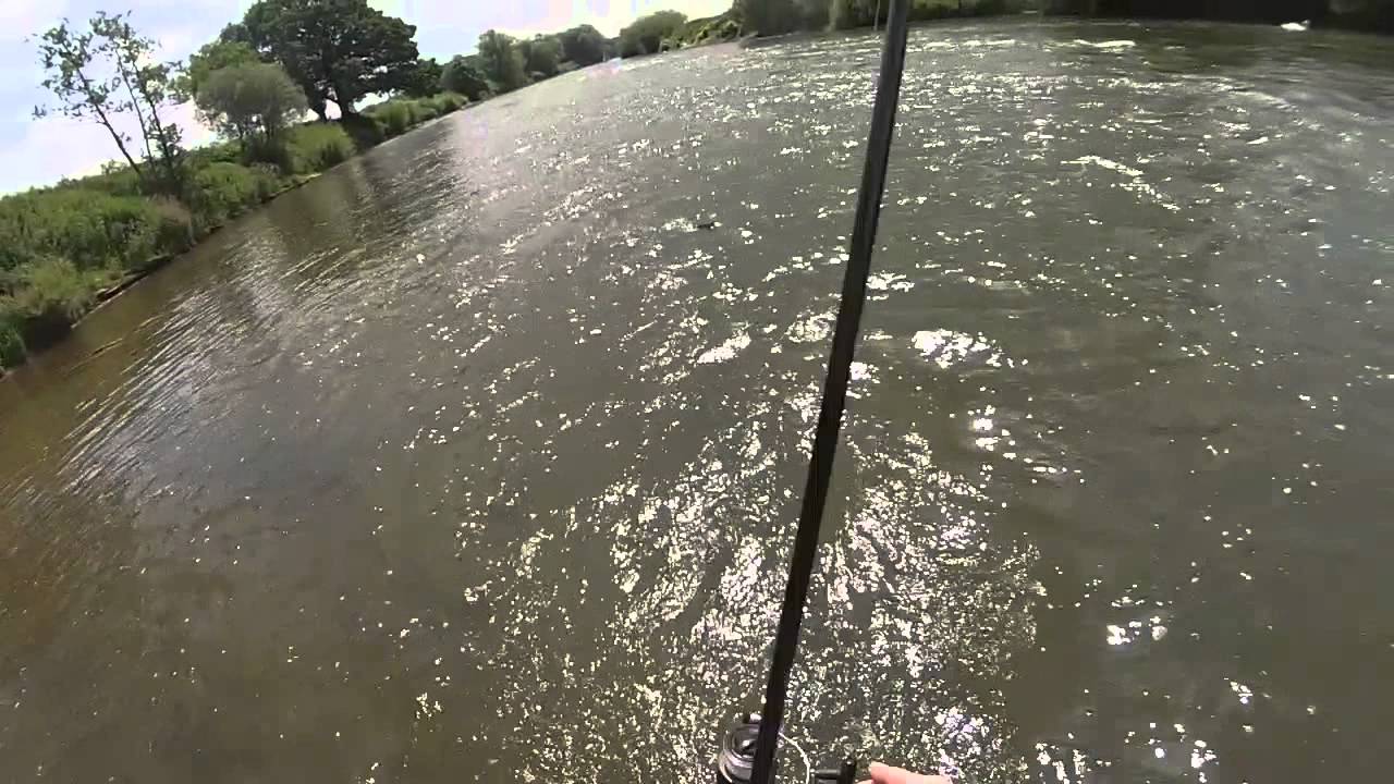 River wye chub on lures with Roy jacobs
