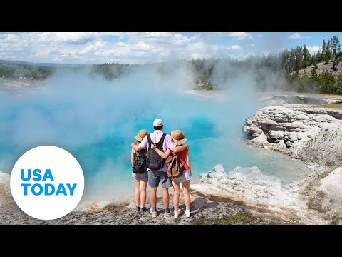 Yellowstone: What to see in the national park | USA TODAY