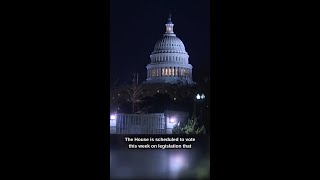 Celebrity Massie and Trump Speak on Epstein Files Release Profile