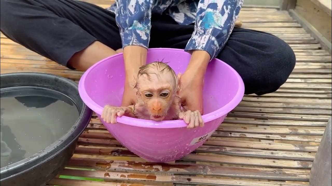 Time Take Shower Baby Ramboo YouTube