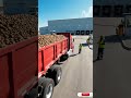 How Potatoes Enter a Frozen Fries Factory 🍟 Massive Food Processing Line #shorts #satisfyingvideos
