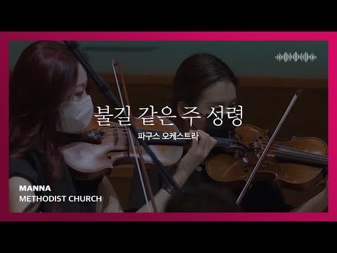 [만나교회] 불길 같은 주 성령(찬184) | 파구스 오케스트라