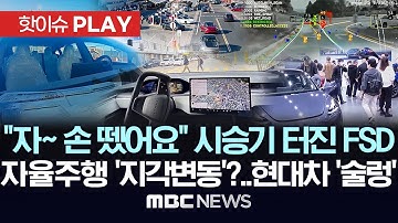 "자~손 뗐어요" 시승기 터진 FSD, 자율주행 