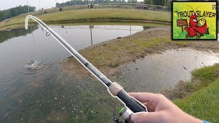 Suprise Catfish catches fishing w/ Trout Slayer Kit