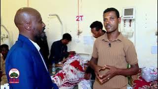 Mijuu Dilbataa || Guyyaa Yaadannoo miidhamtoota balaa tiraafikaa