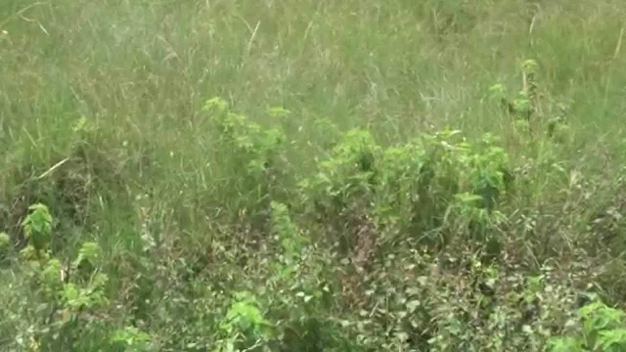 600sqft Land for Sale 23L in Anjanapura, Bangalore Refind11302 YouTube