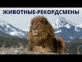 Тест Животные-рекордсмены. Хорошо ли ты знаешь рекордсменов Мира животных? | Дом тестов и викторин